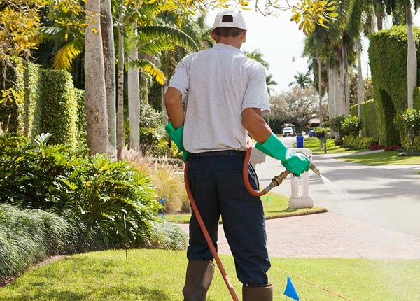 About Green Ridge MO Pest Control